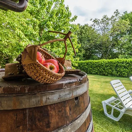 Susanj Apartman Matulji