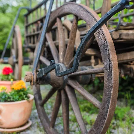 Susanj 아파트